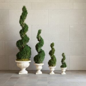 Preserved Classic Spirals