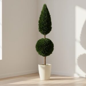 Preserved Ball Cone Topiaries (Boxwood and Juniper)