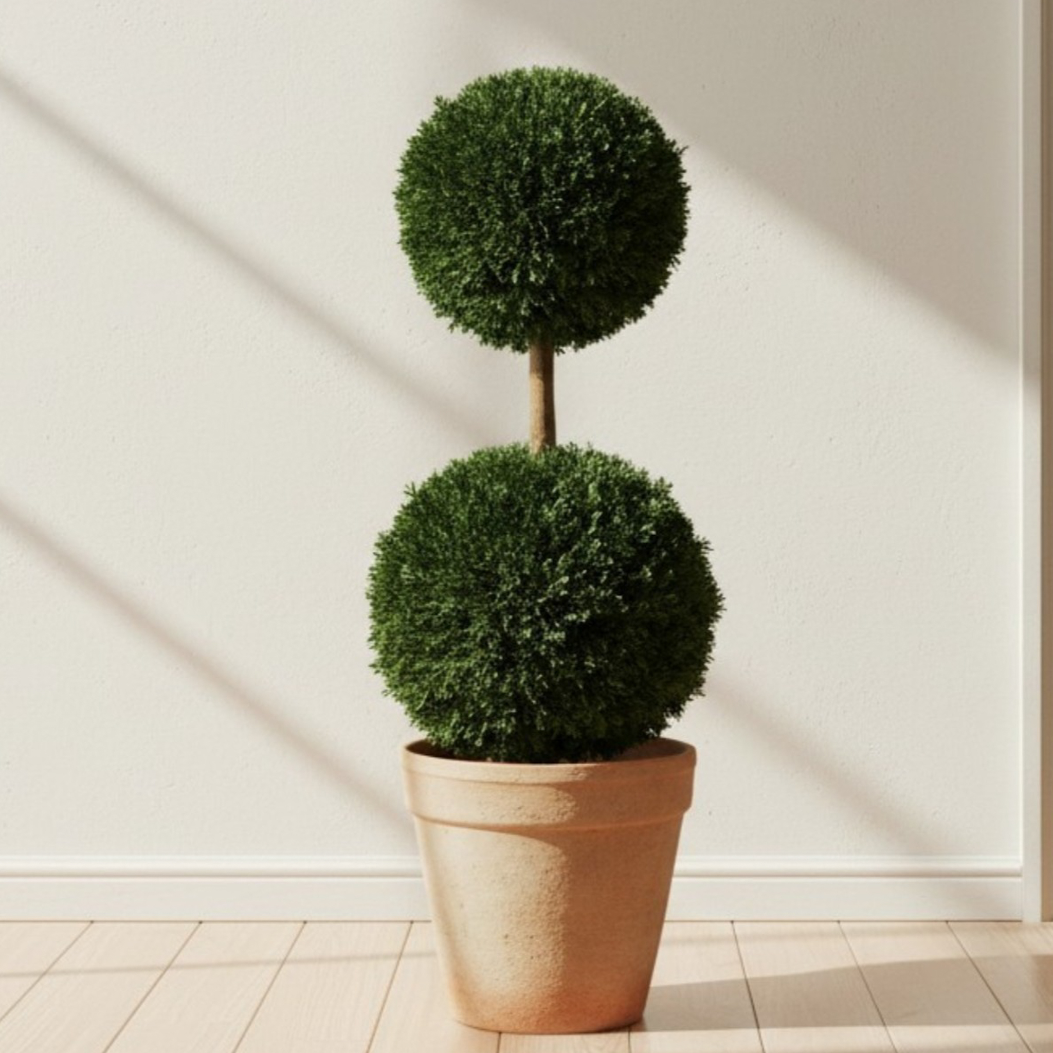 Preserved Ball Topiary Collection