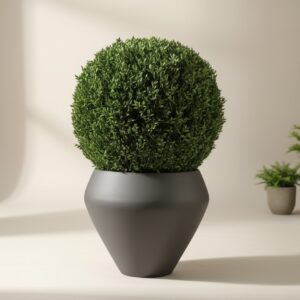 Preserved Juniper & Boxwood Globe Collection