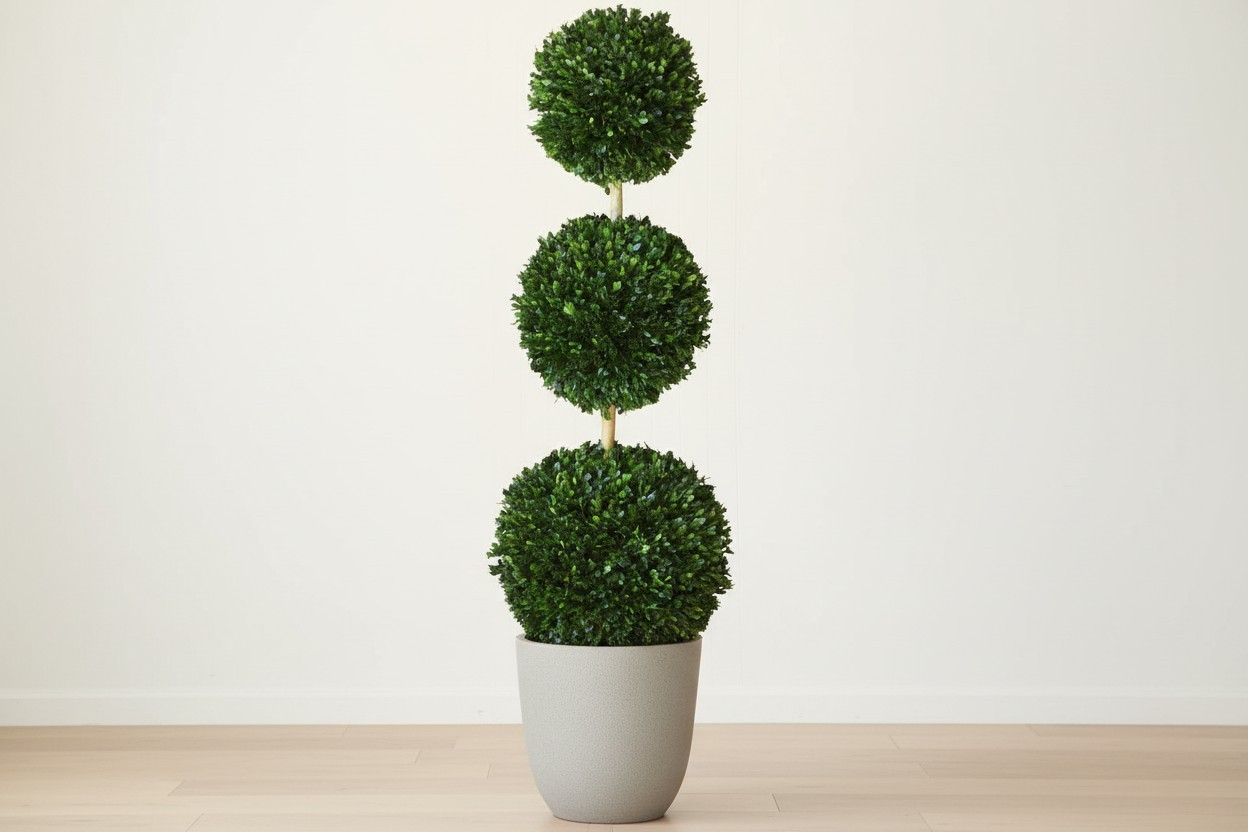 Preserved Ball Topiary Collection - Image 7
