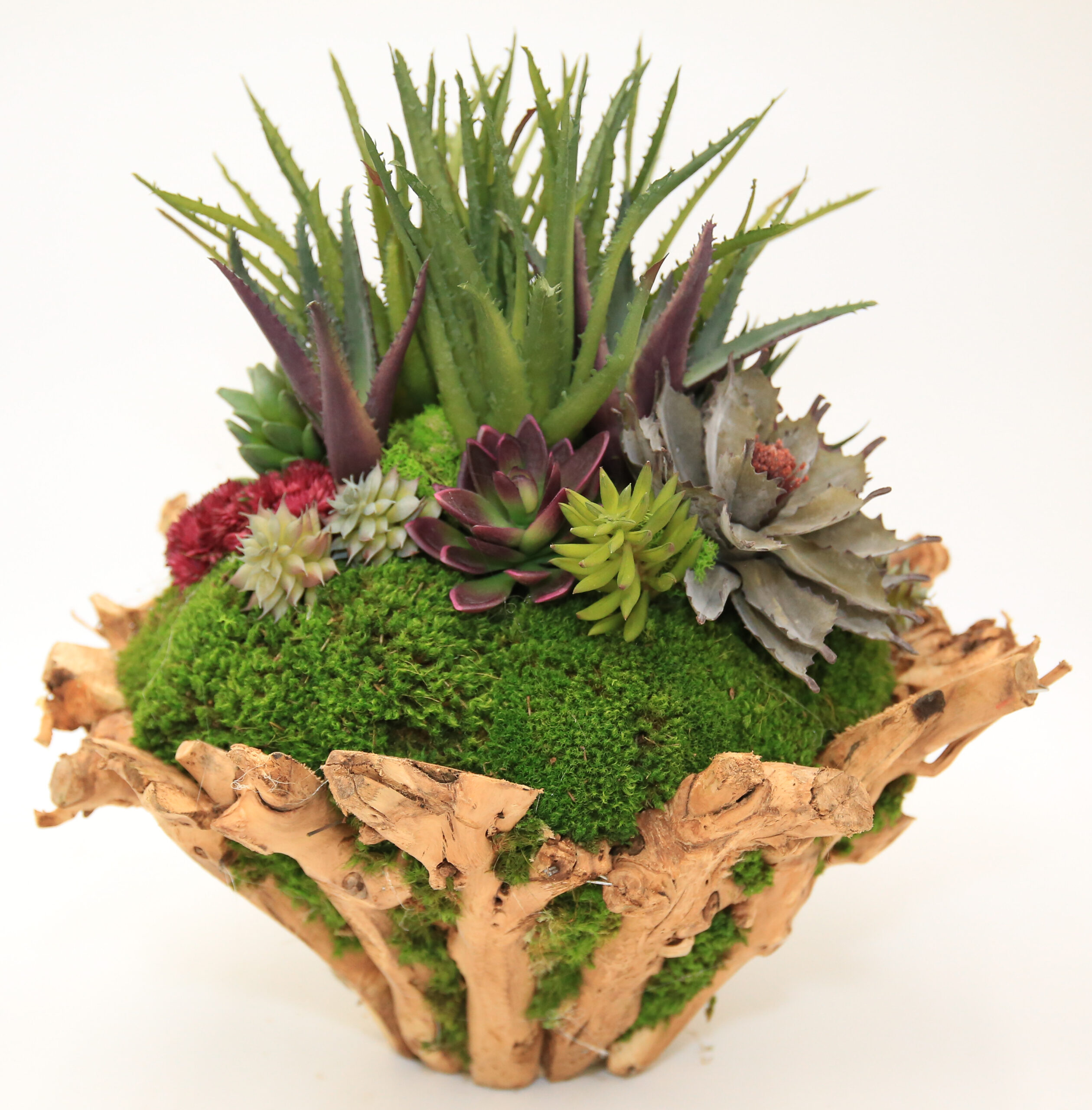 Branchy Succulent Bowl