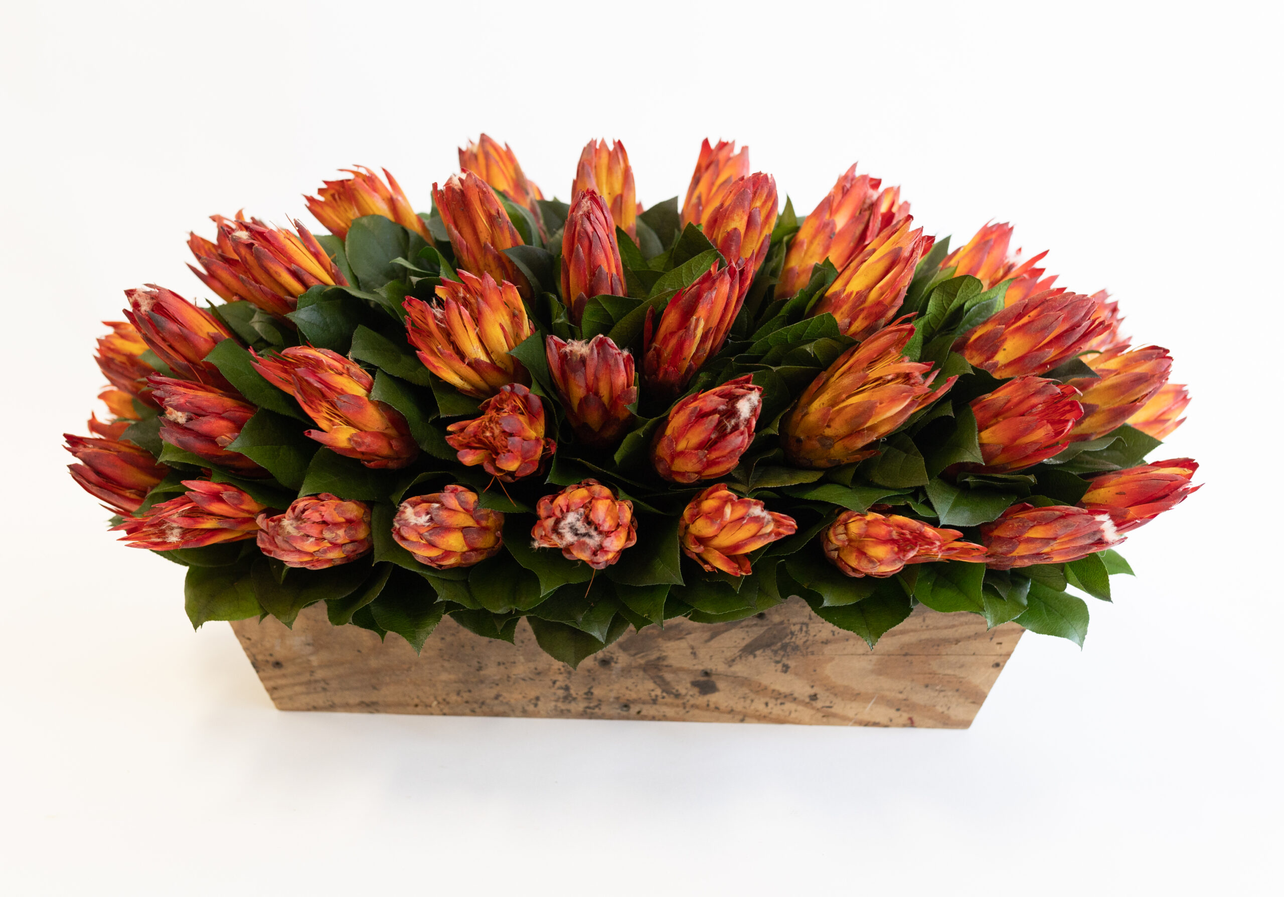 Red Protea Dough Bowl - Image 2