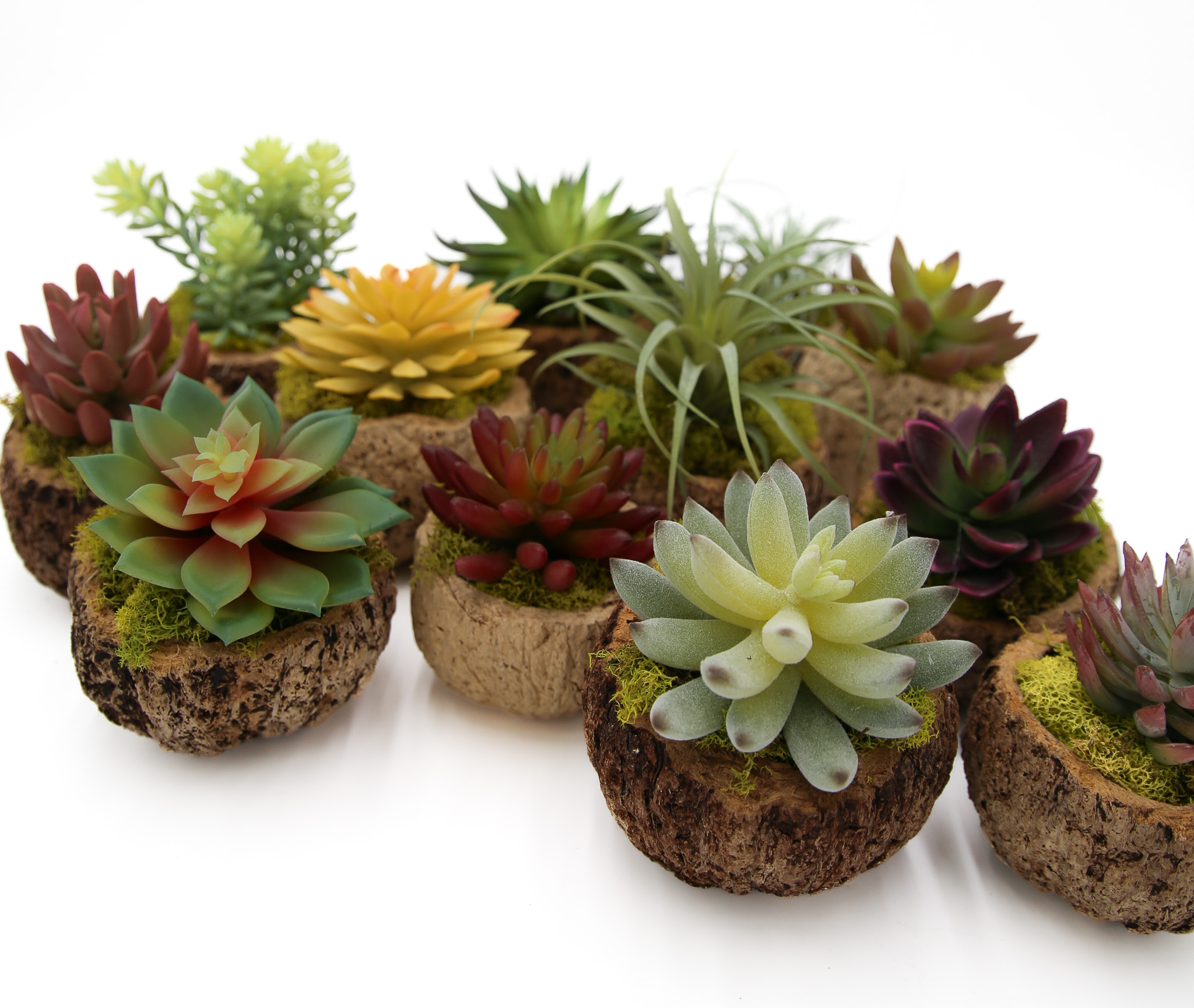 Mayan Coconuts (set of 8)