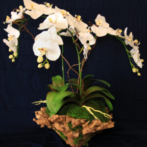 Large Orchid Branchy Bowl