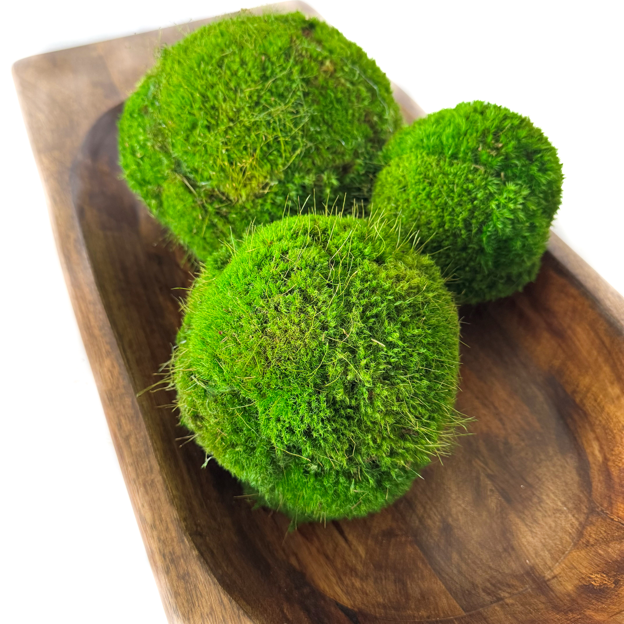 Preserved Moss Balls (4", 5" & 6") - Image 4
