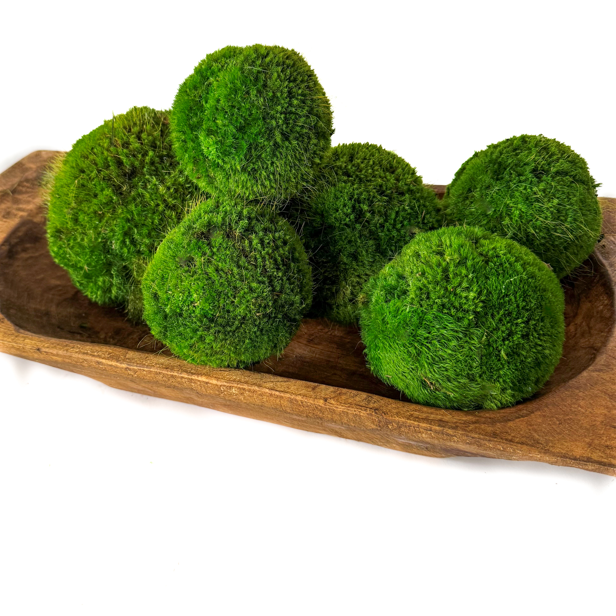 Preserved Moss Balls (4", 5" & 6") - Image 2