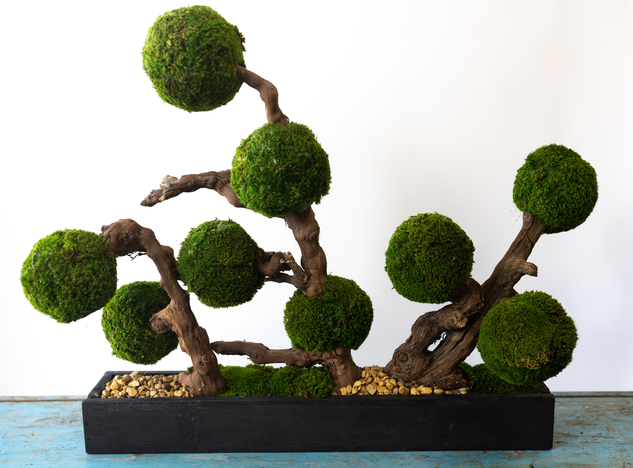 Moss Ball Hedge
