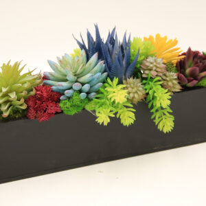 24" Azar Succulent