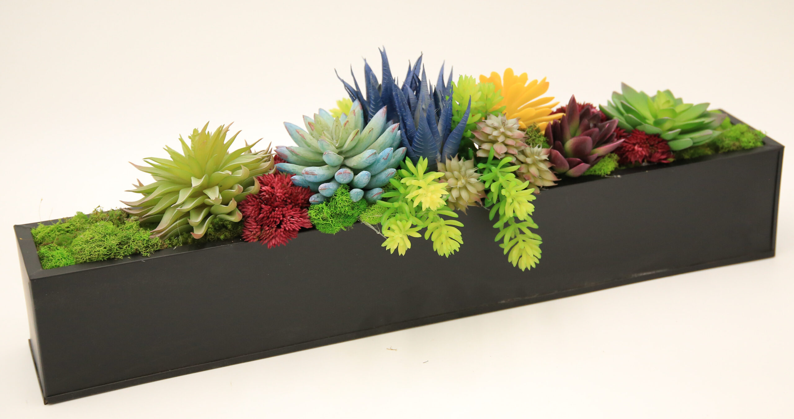 24" Azar Succulent