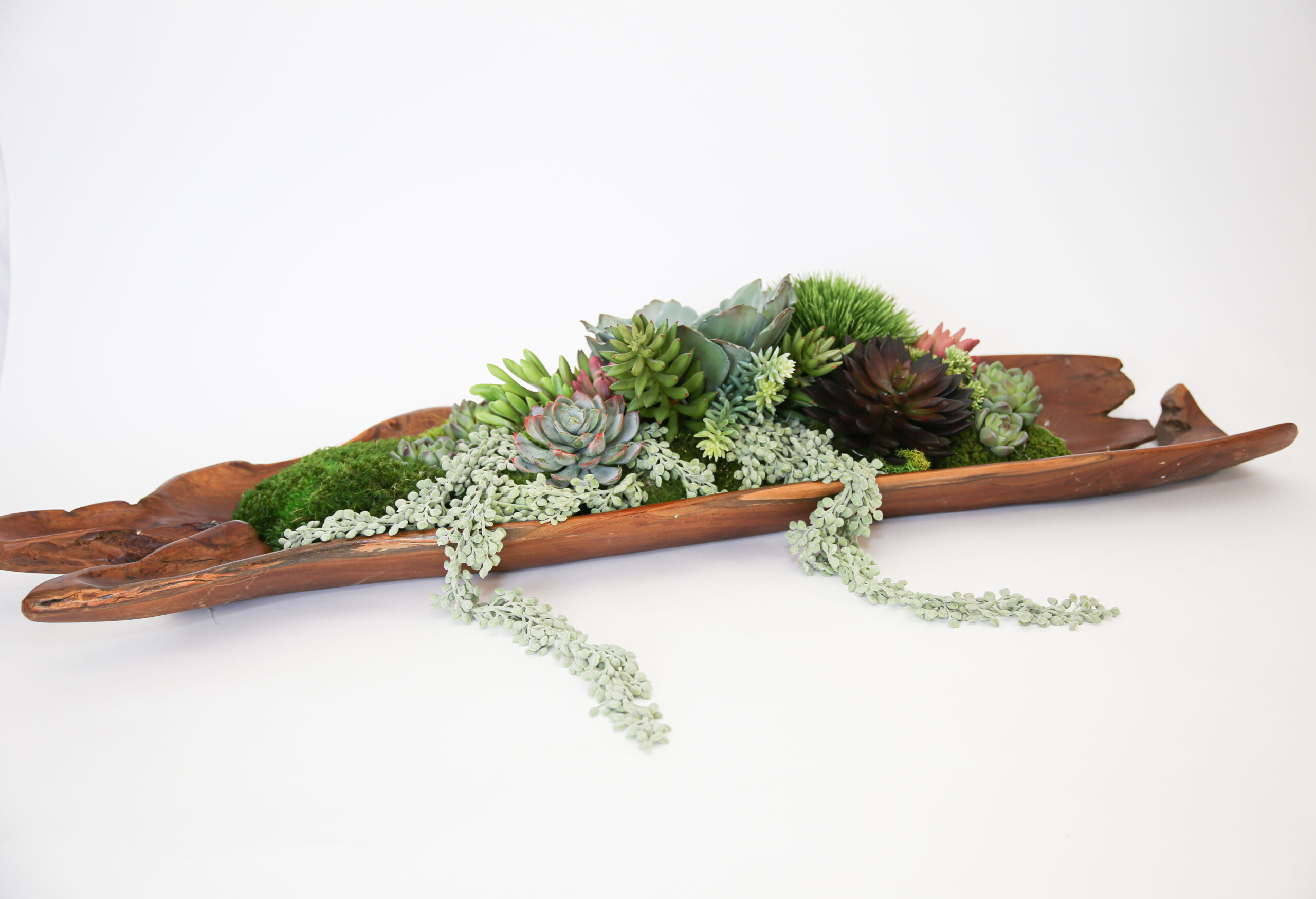 Succulent Teak Wood Tray - Image 2