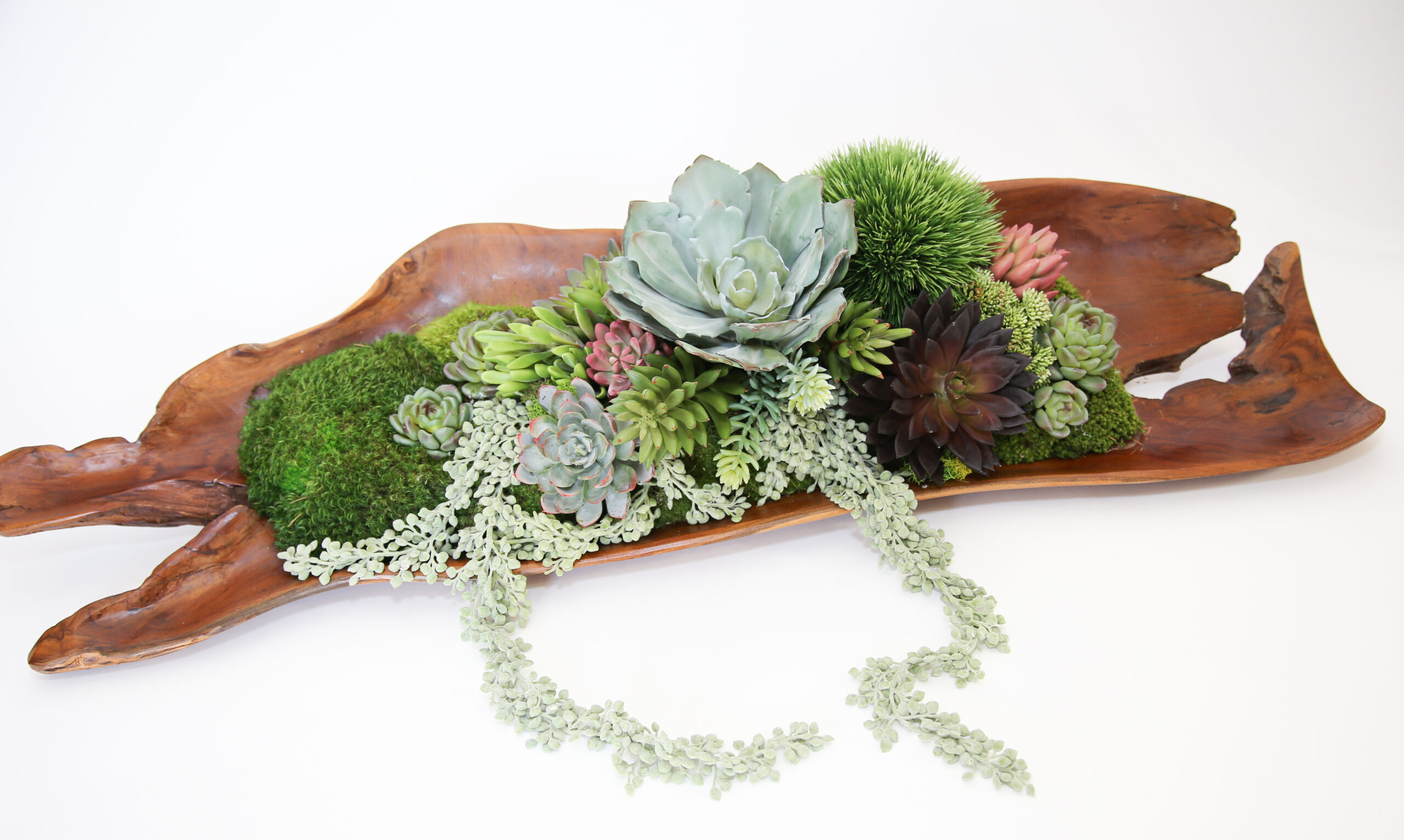 Succulent Teak Wood Tray