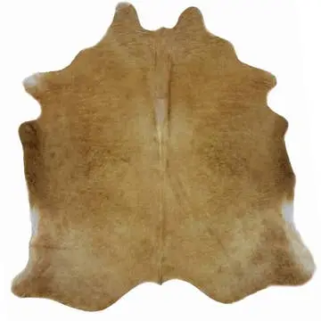 Champagne Brazilian Cowhide Rug - Image 4