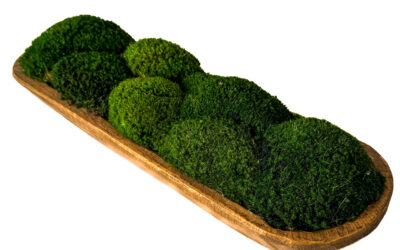 Mossed Bread Bowl 19″