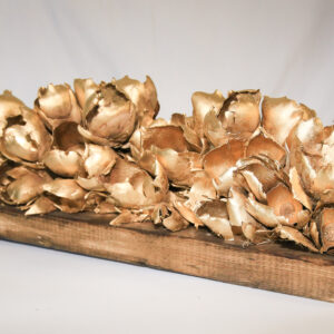 Seed Pod Medium