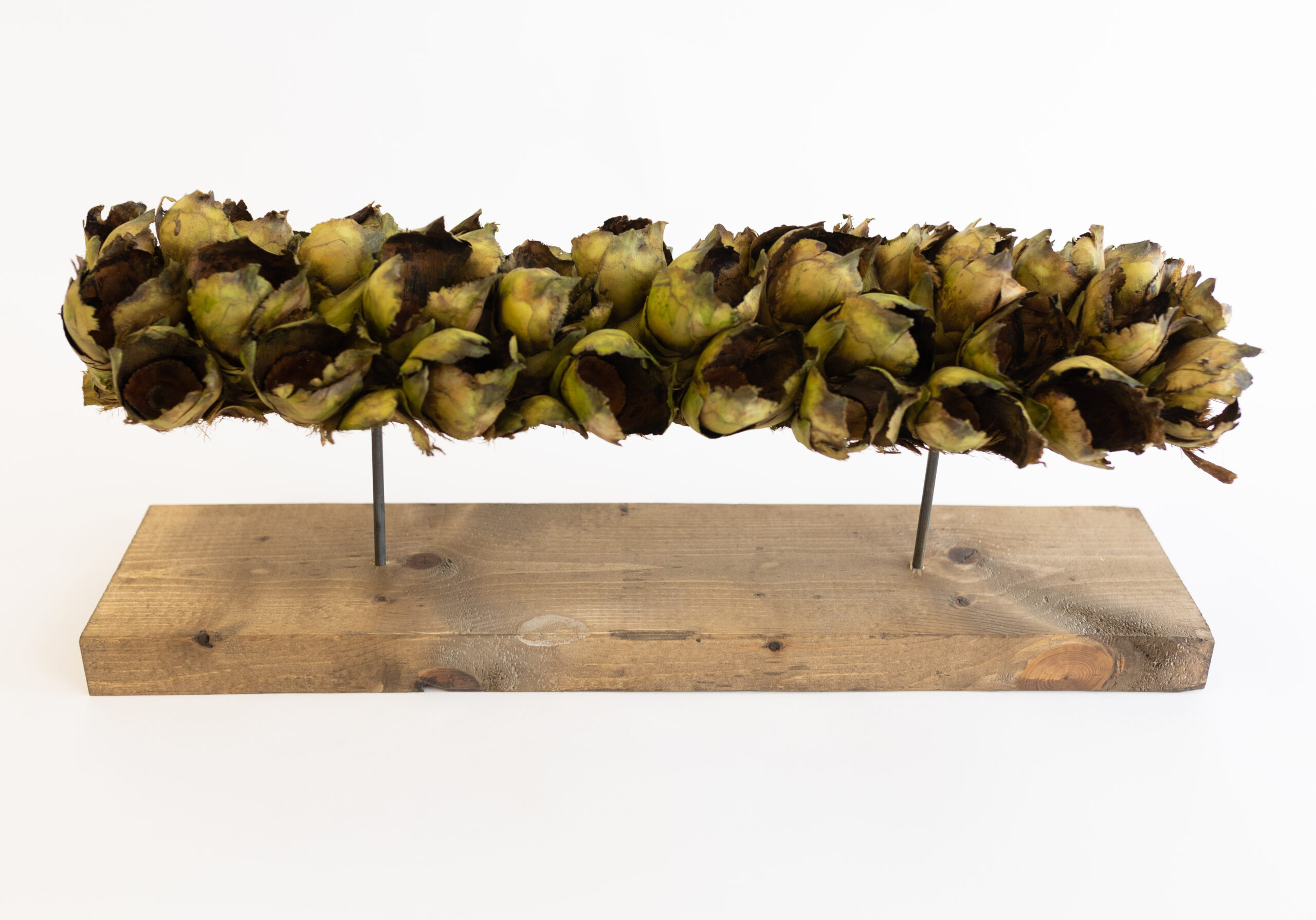 Seed Pod Medium - Image 5