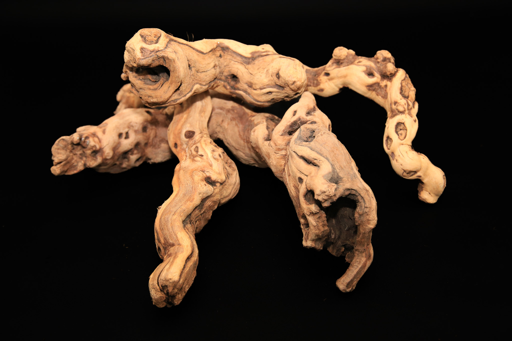 Tumbled Grape Wood (Log, Pieces & Monster Log) - Image 2