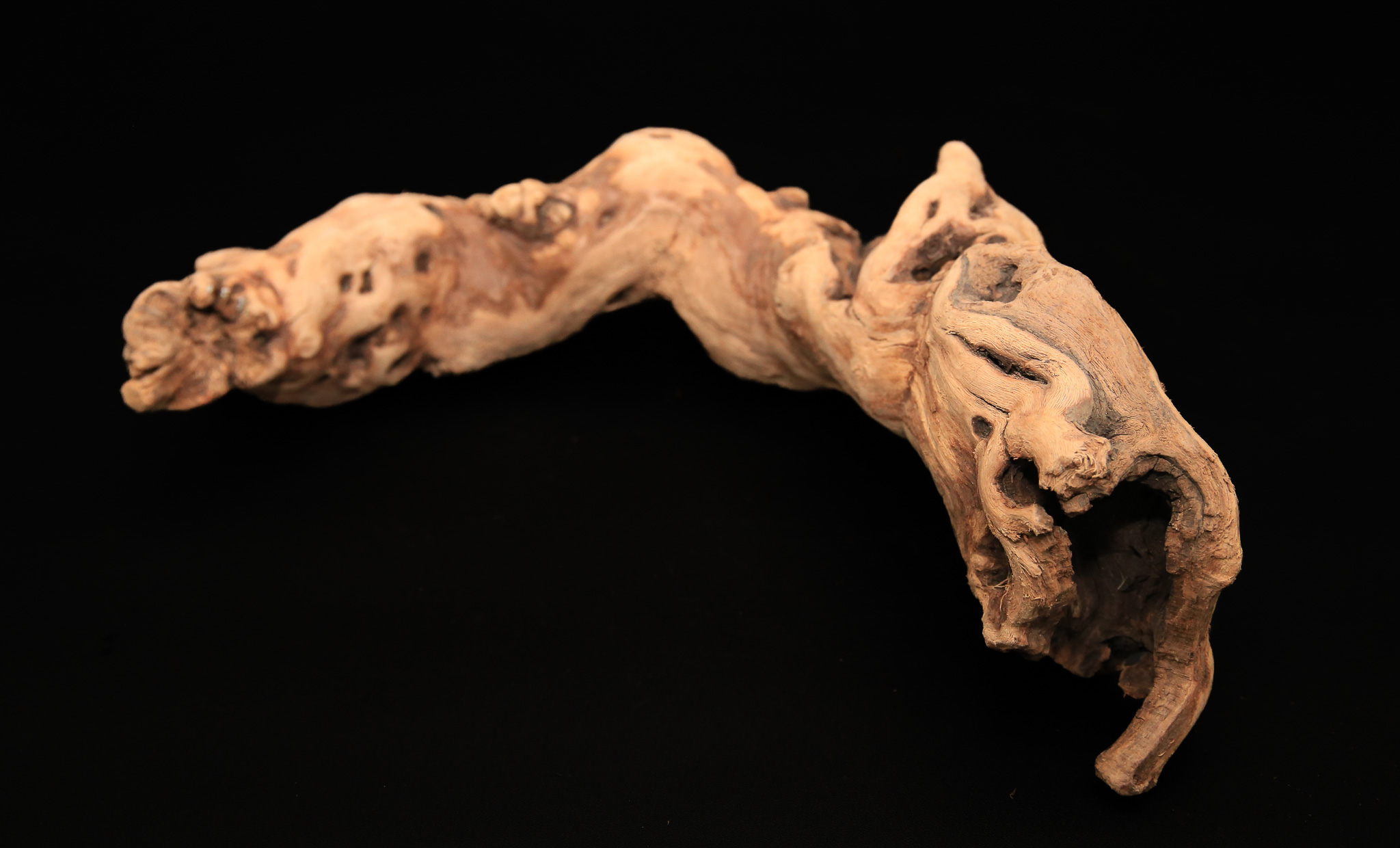 Tumbled Grape Wood (Log, Pieces & Monster Log) - Image 3