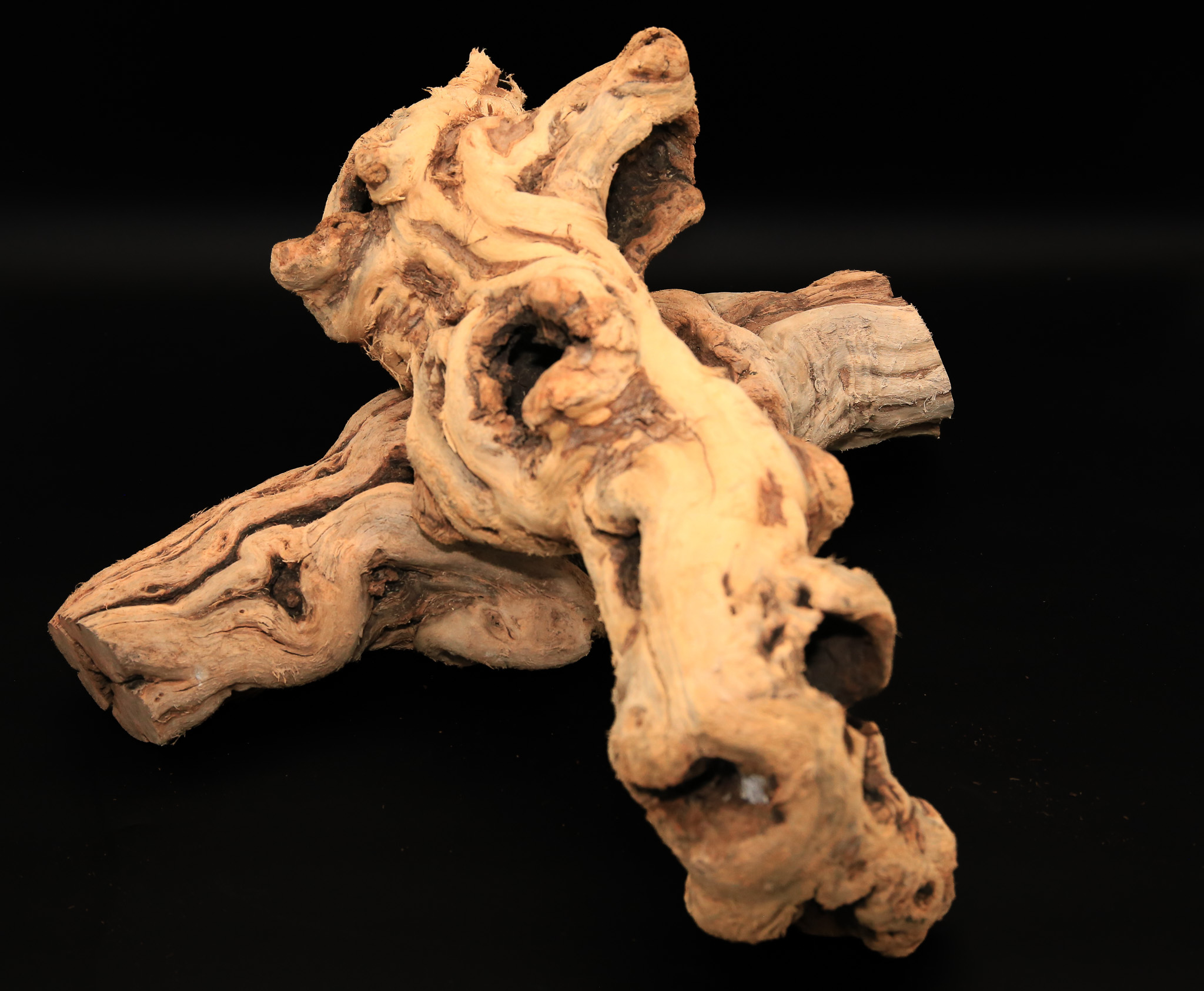Tumbled Grape Wood (Log, Pieces & Monster Log) - Image 5