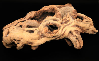 Tumbled Grape Wood (Log, Pieces & Monster Log)