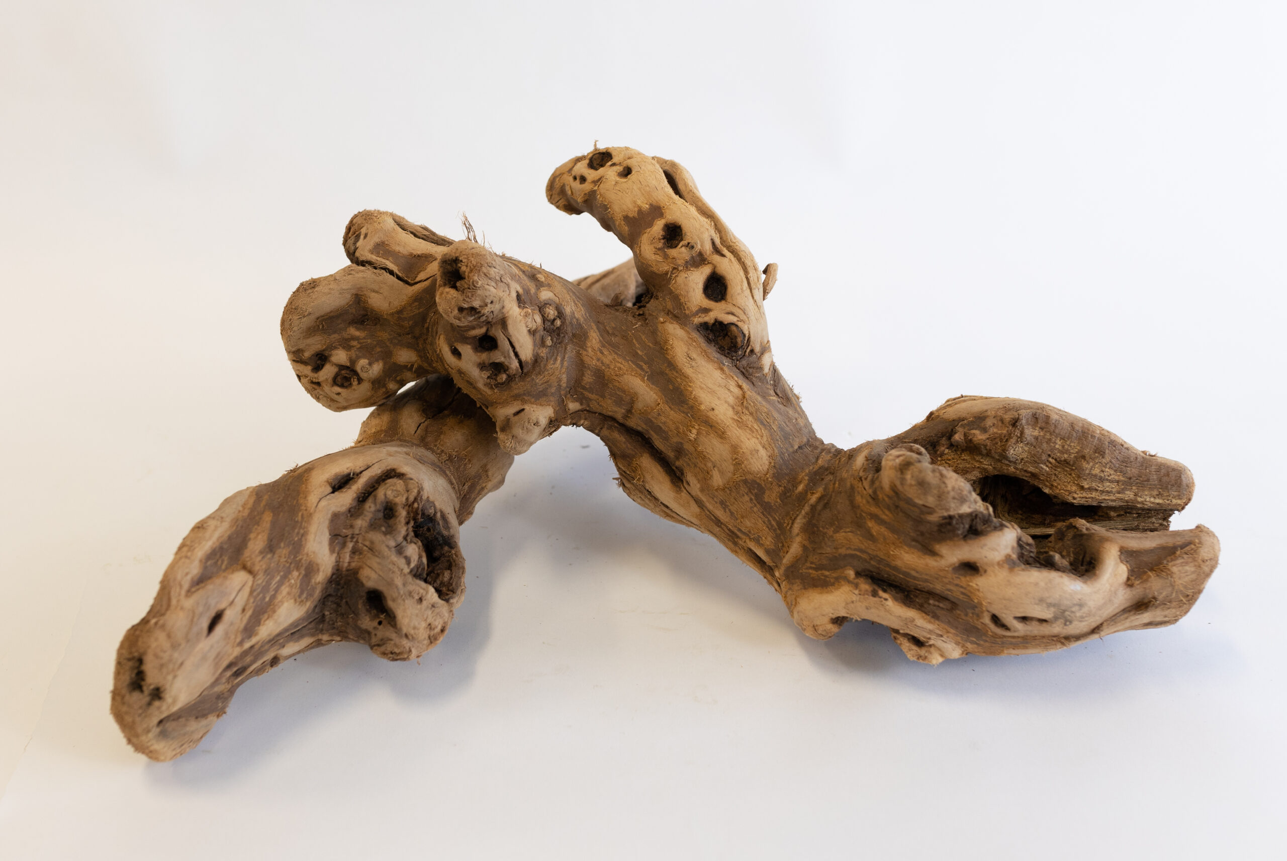 Tumbled Grape Wood (Log, Pieces & Monster Log) - Image 6
