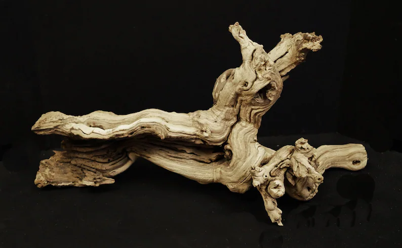 Tumbled Grape Wood (Log, Pieces & Monster Log) - Image 8