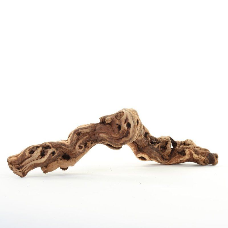Tumbled Grape Wood (Log, Pieces & Monster Log) - Image 7