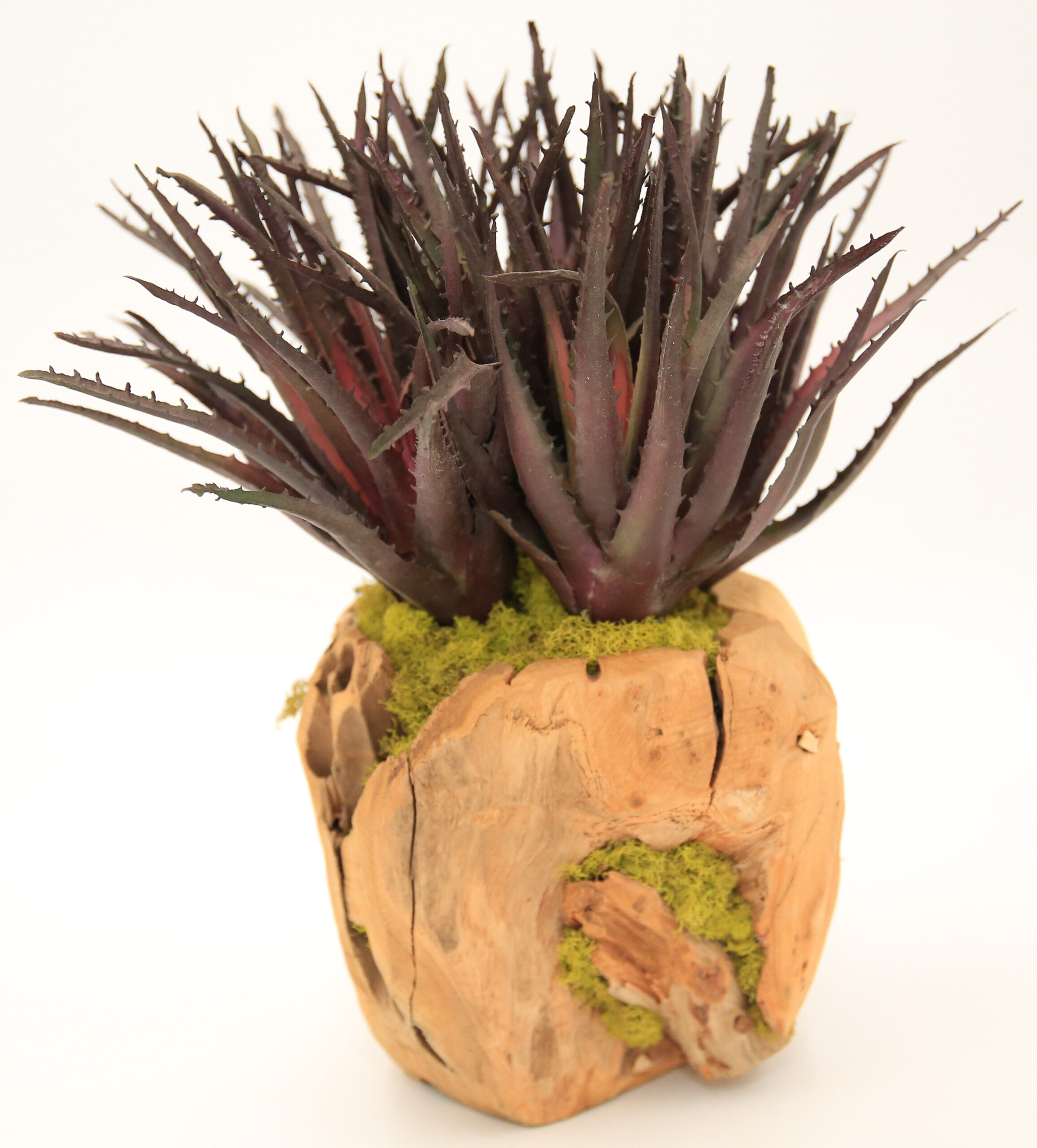 Wood Orb with Aloe (8" and 12") - Image 2
