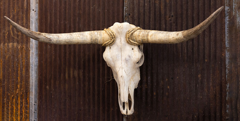 Skulls