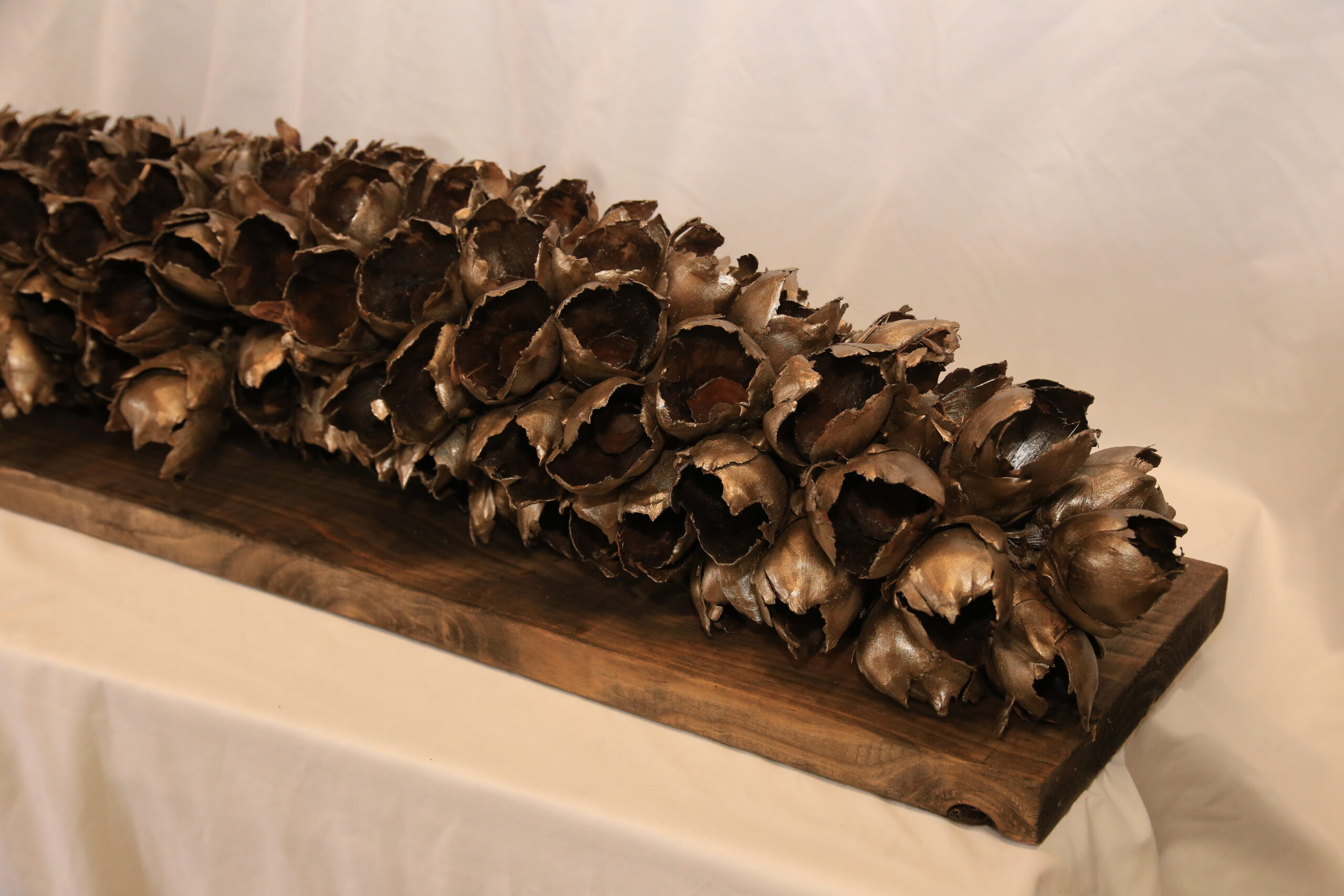 Giant Seed Pod - Image 3