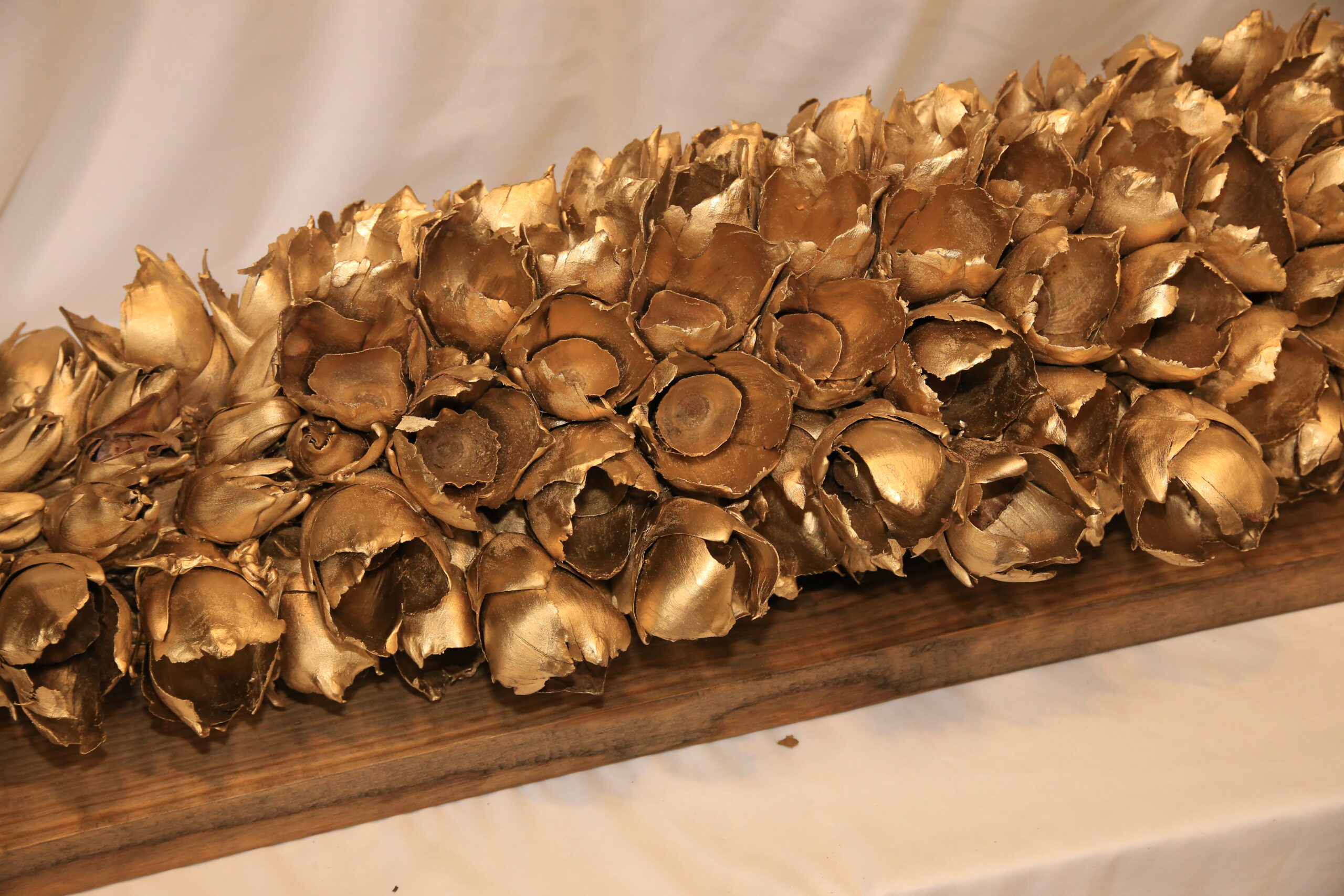 Giant Seed Pod - Image 2