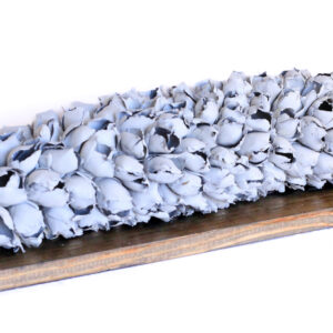 Giant Seed Pod