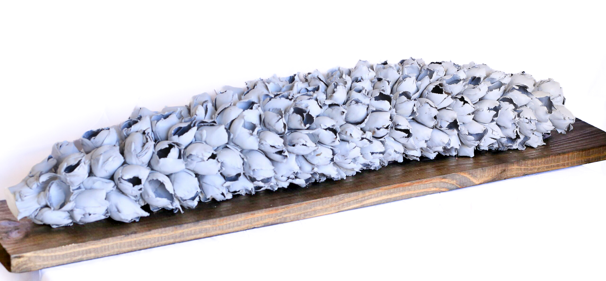 Giant Seed Pod