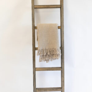 Wood Ladder