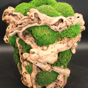 Mossed Grapevine Baskets (16", 14" & 12")
