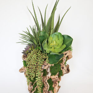 Grapevine 12" Succulent Basket
