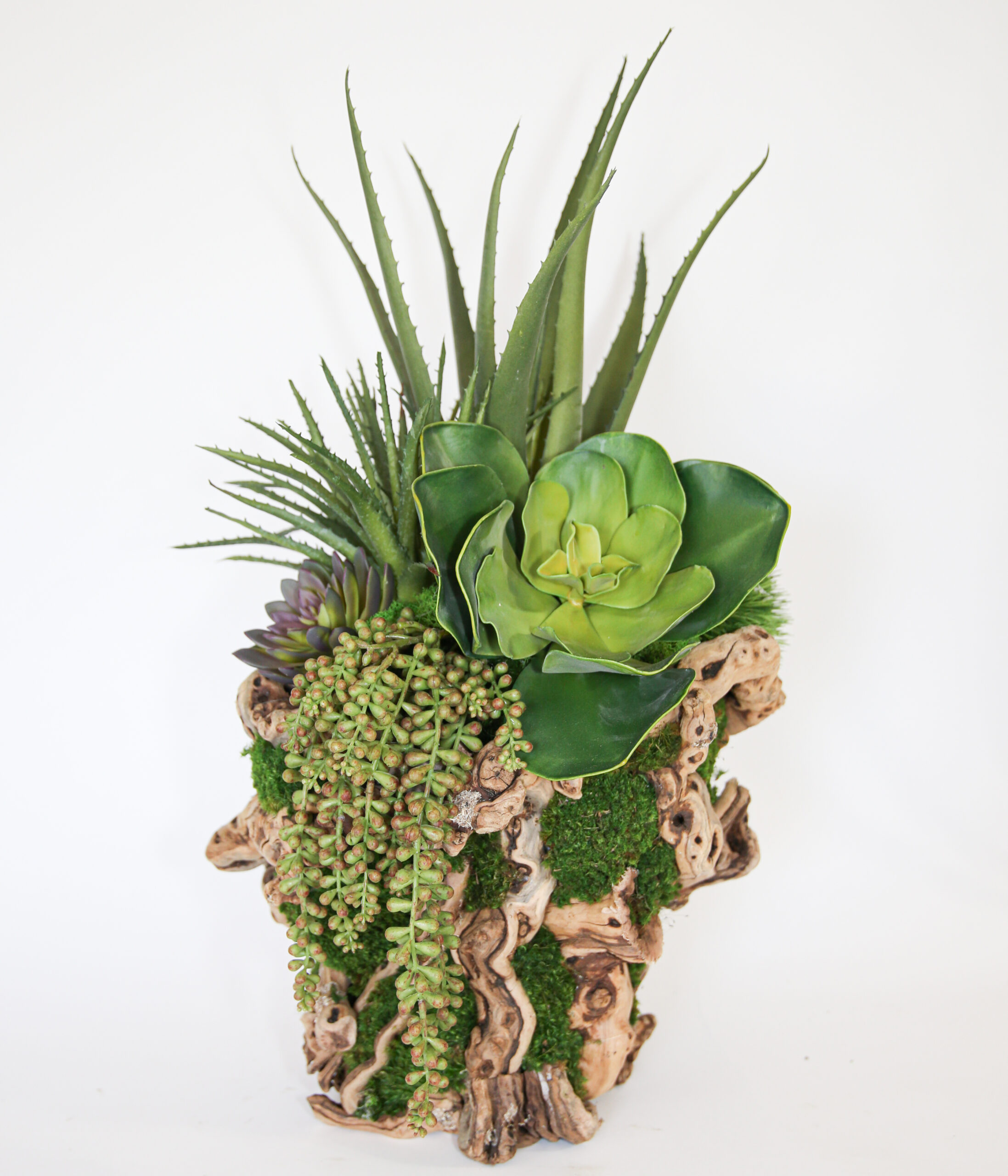 Grapevine 12" Succulent Basket
