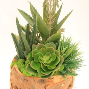 Cacti 8" Wood Orb