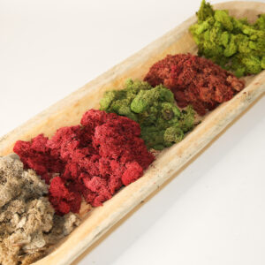 Preserved Colored Deer Moss – 4oz Bag (Min. 8 Bags)