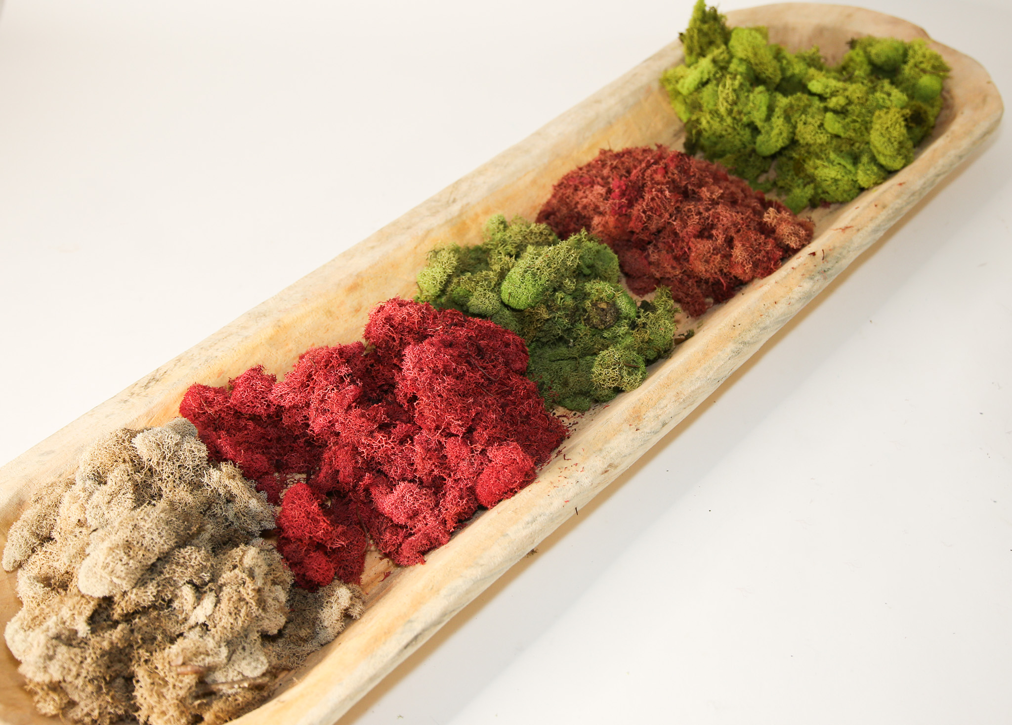 Preserved Colored Deer Moss – 4oz Bag (Min. 8 Bags)