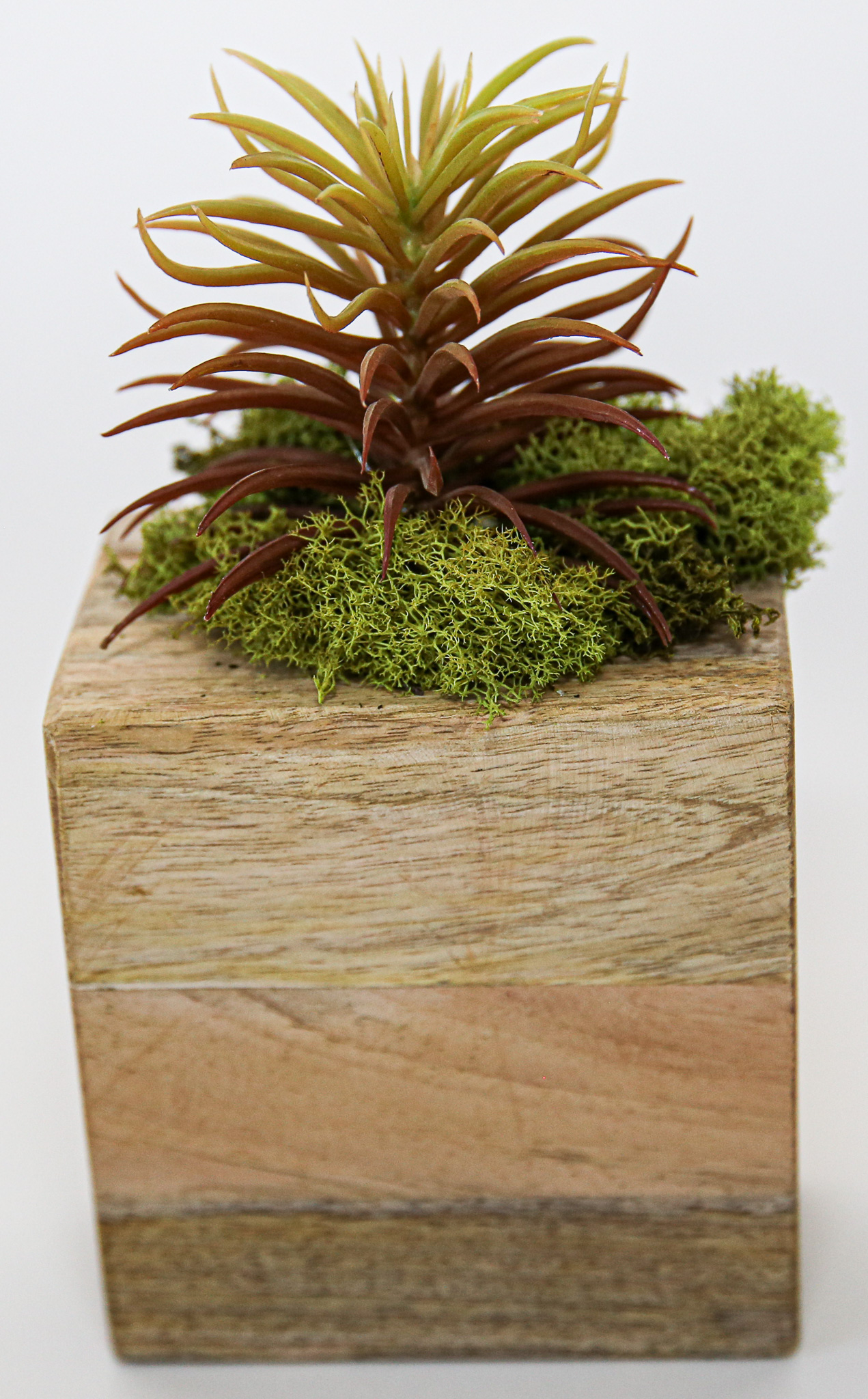 Succulent Sugar Mold Set of 9 - Image 2