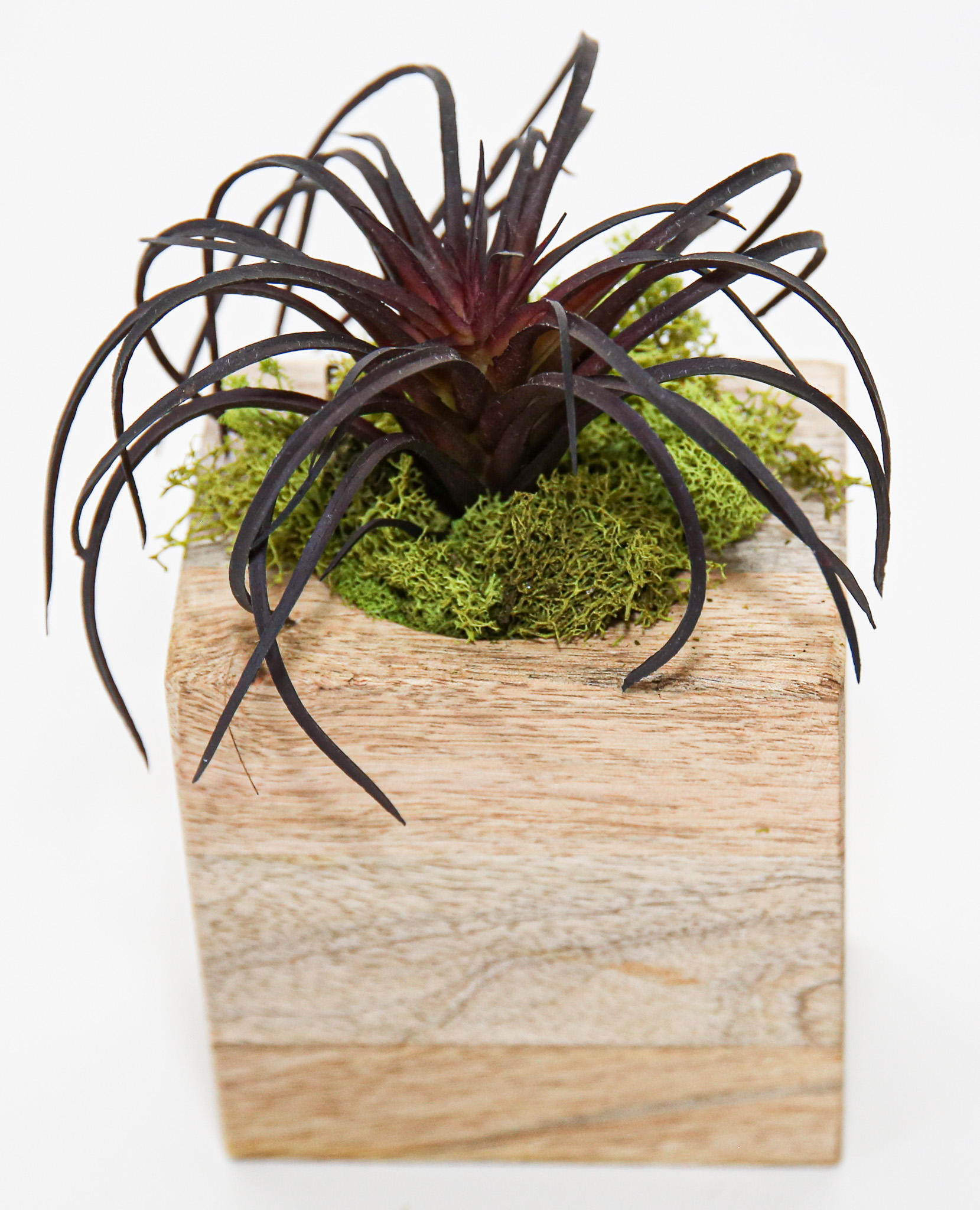 Succulent Sugar Mold Set of 9 - Image 4