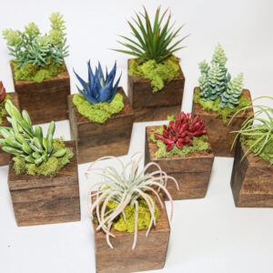 Succulent Sugar Mold Set of 9