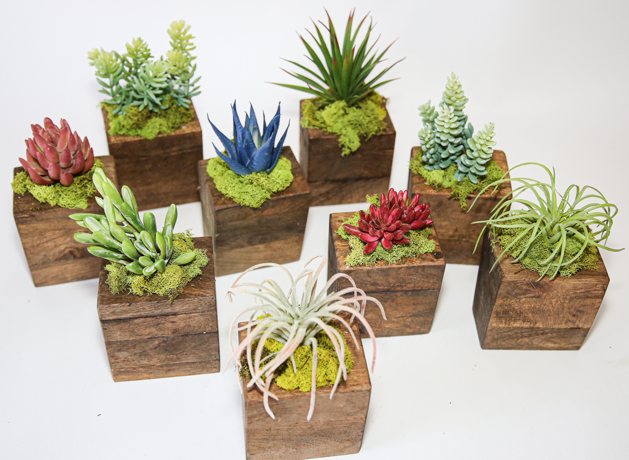 Succulent Sugar Mold Set of 9
