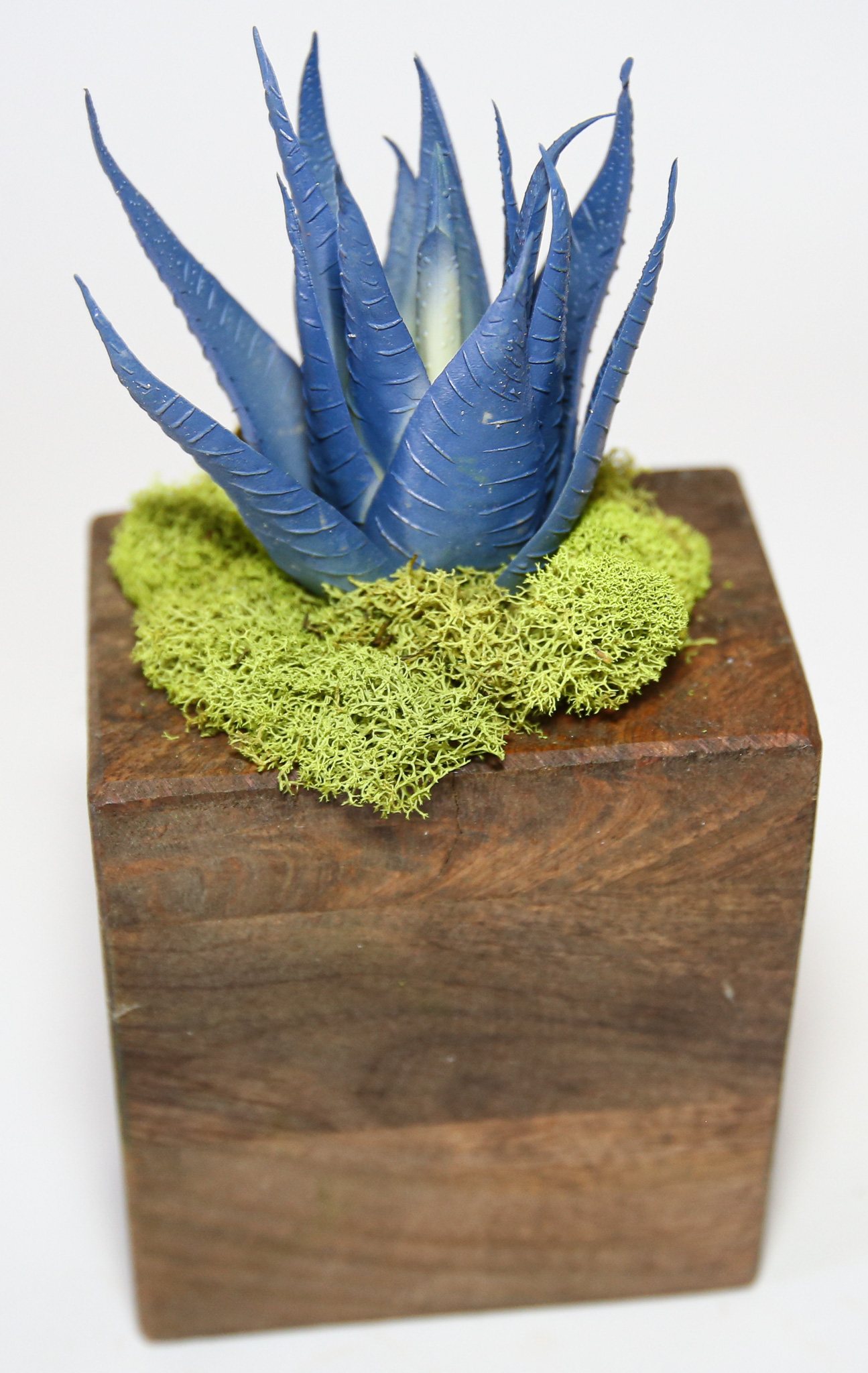 Succulent Sugar Mold Set of 9 - Image 15