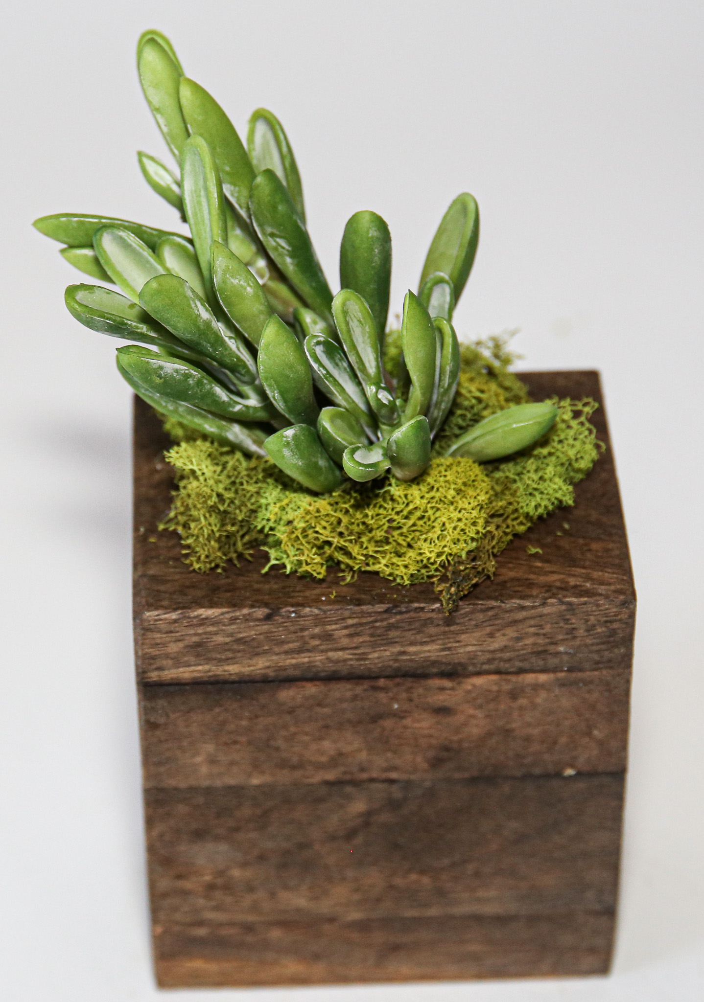 Succulent Sugar Mold Set of 9 - Image 17