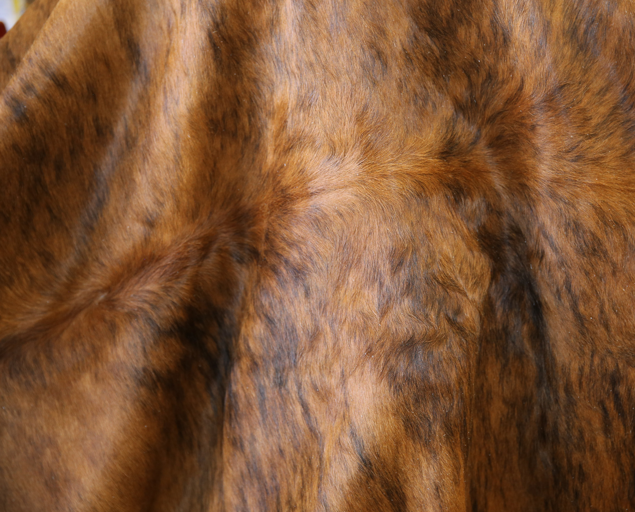 5-Piece Assorted Brazilian Cowhide Rug Bundle