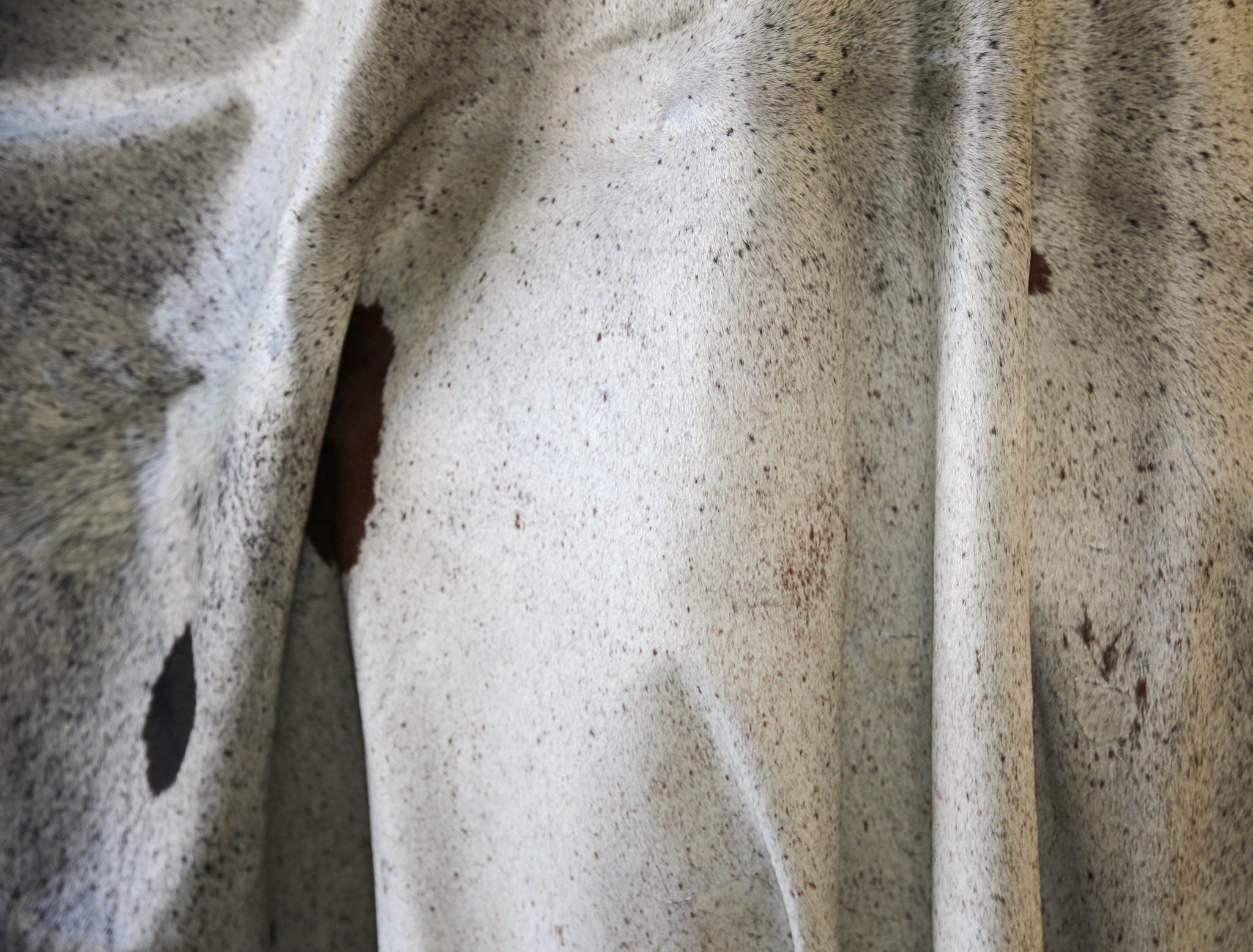 5-Piece Assorted Brazilian Cowhide Rug Bundle - Image 4