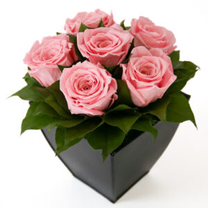 Preserved Roses in Azar