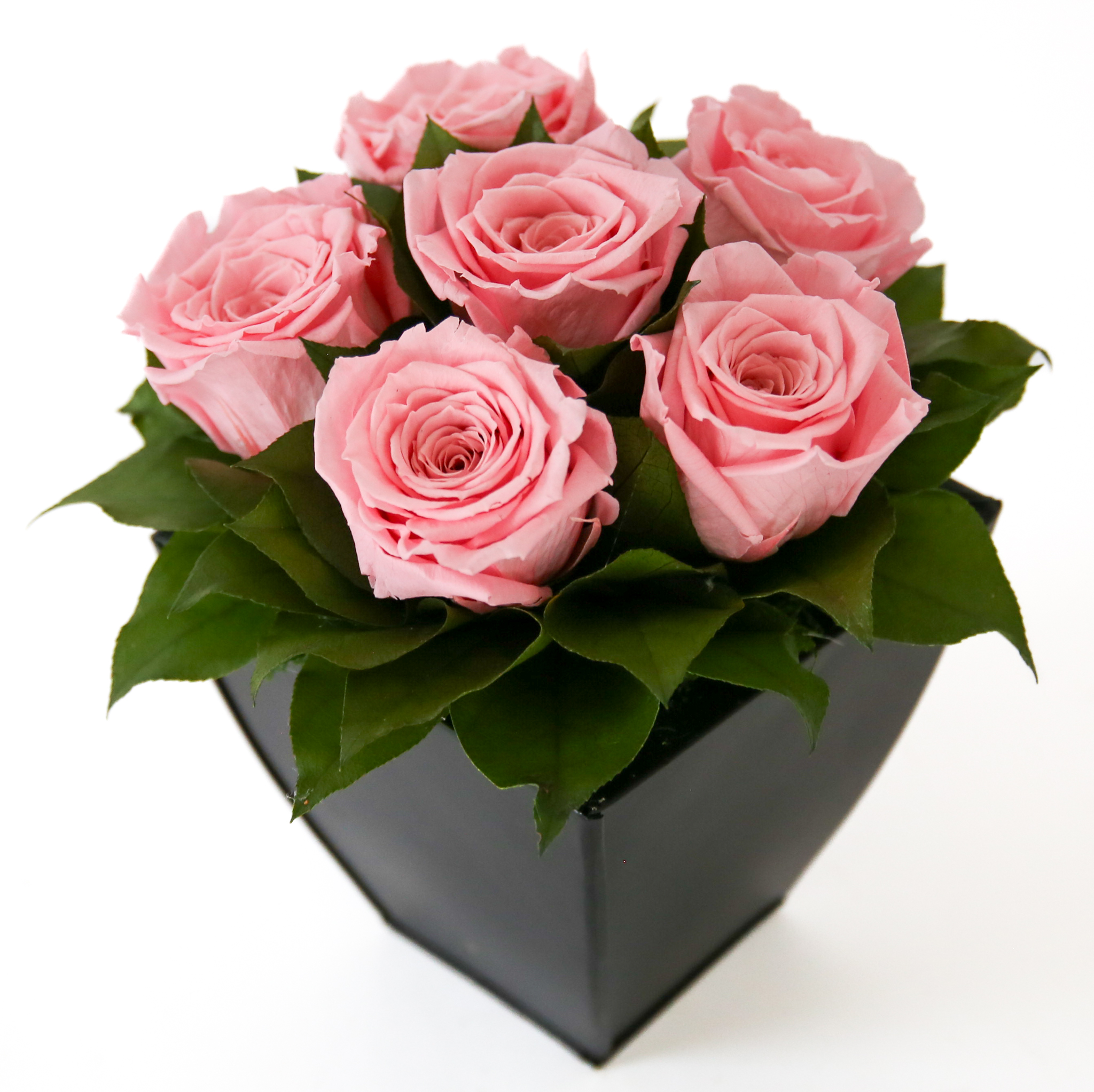 Preserved Roses in Azar